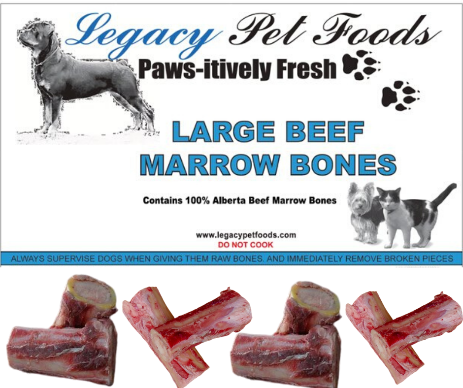 Giving dogs outlet marrow bones